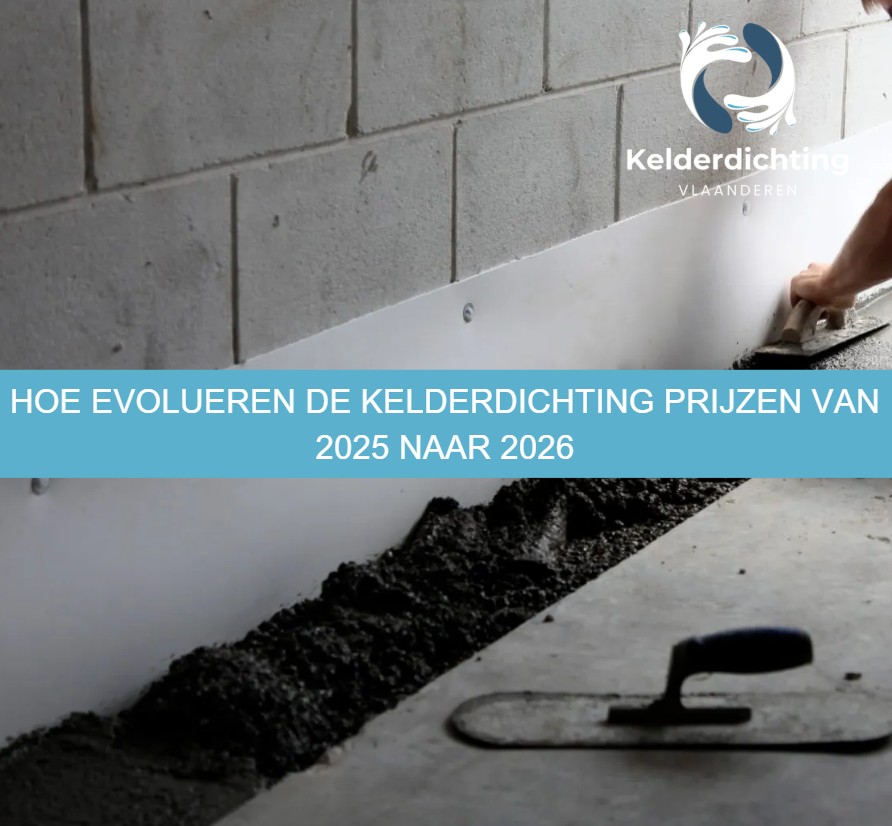 Hoe evolueren de kelderdichting prijzen van 2025 naar 2026