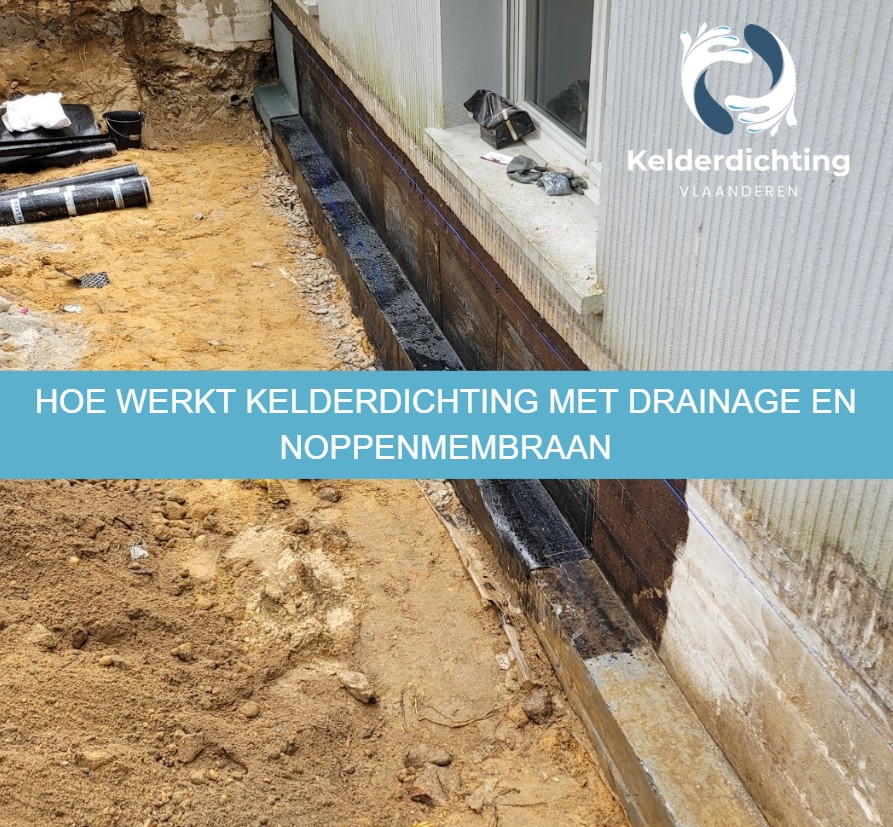 Hoe werkt kelderdichting met drainage en noppenmembraan