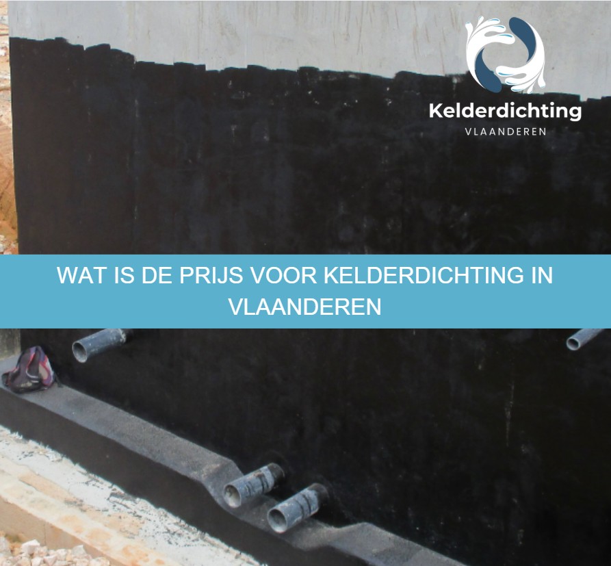 Wat is de prijs voor kelderdichting in Vlaanderen