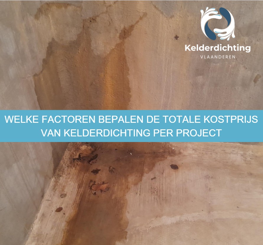 Welke factoren bepalen de totale kostprijs van kelderdichting per project