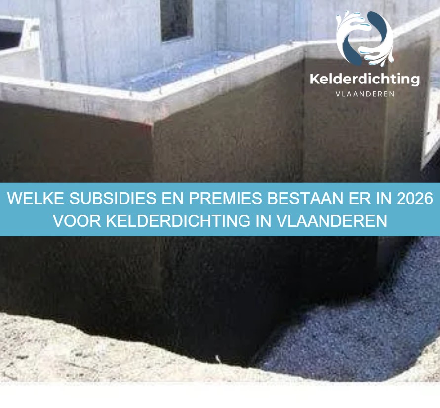 Welke subsidies en premies bestaan er in 2026 voor kelderdichting in Vlaanderen