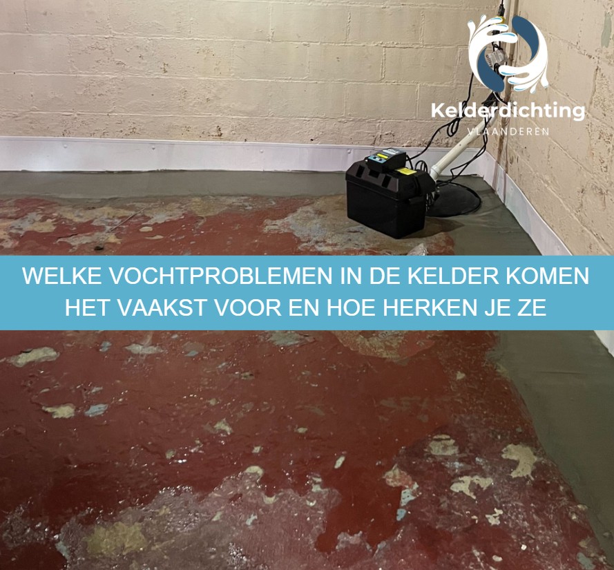 Welke vochtproblemen in de kelder komen het vaakst voor en hoe herken je ze