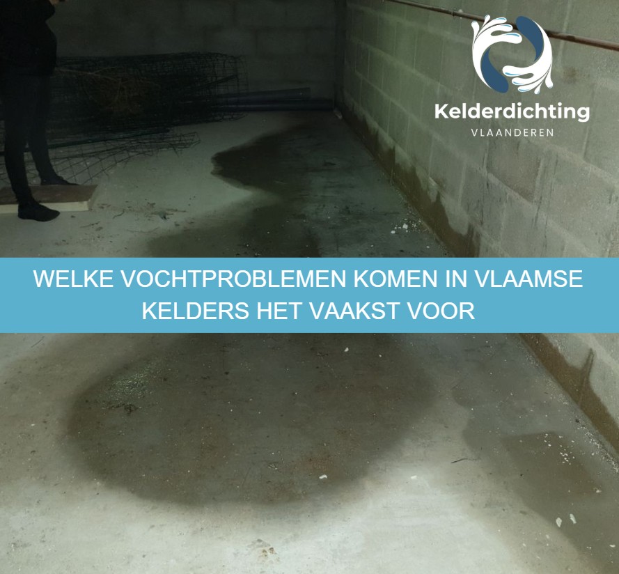 Welke vochtproblemen komen in Vlaamse kelders het vaakst voor